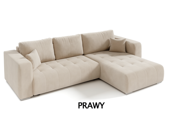 PRAWY .PNG